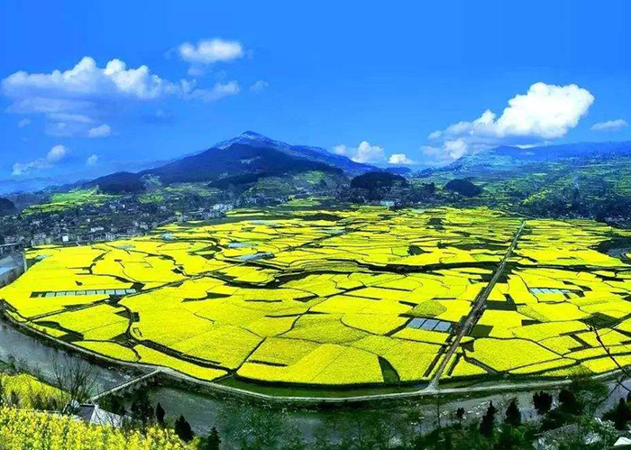 土地调查条例实施办法