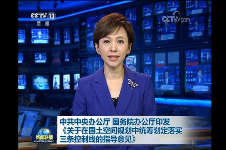 中共中央办公厅 国务院办公厅 印发《关于在国土空间规划中统筹划定落实三条控制线的指导意见》