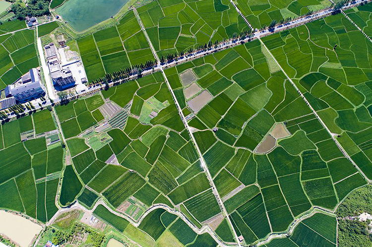 市县国土总体空间规划编制指南