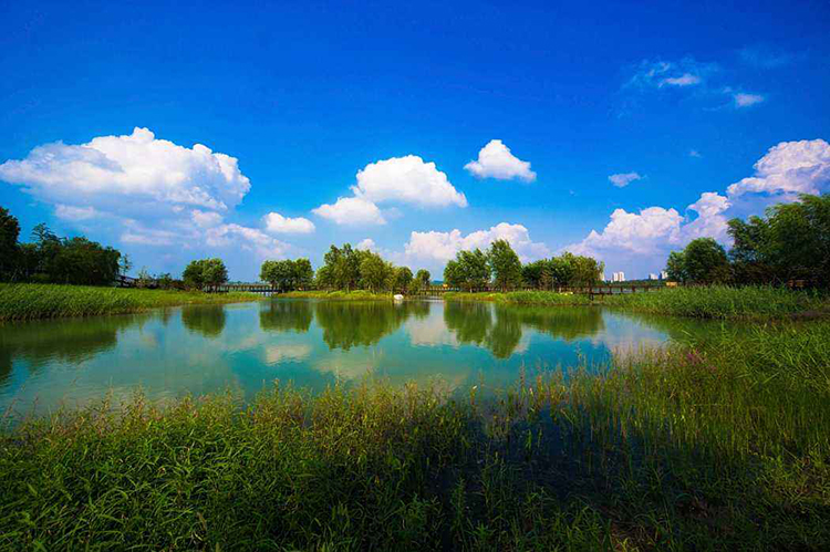 国务院第三次全国国土调查领导小组办公室关于第三次全国国土调查工作进展情况的通报