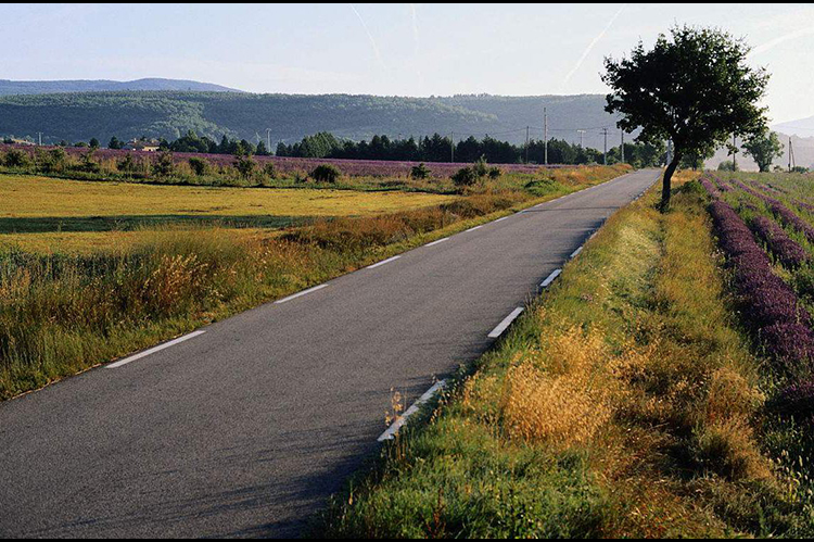 山东发布农村房地一体不动产确权登记工作方案