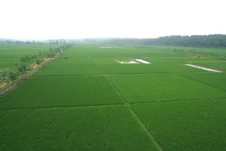 到2022年中国将建成10亿亩高标准农田