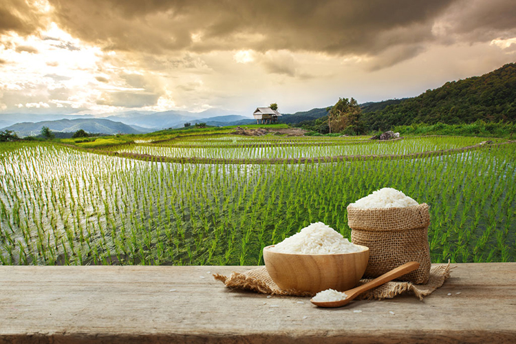 《自然资源部信息化建设总体方案》发布，明确建立三维立体自然资源“一张图”