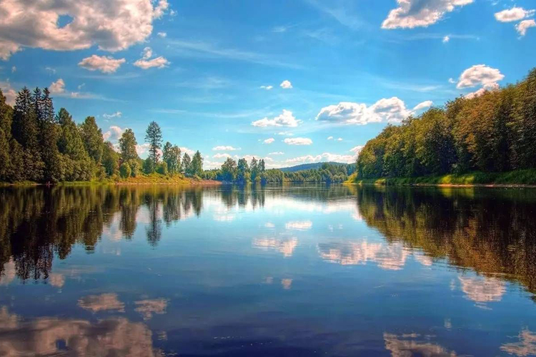 云南省自然资源厅关于印发《云南省重大项目占用生态保护红线不可避让性论证方案编制指南》的通知