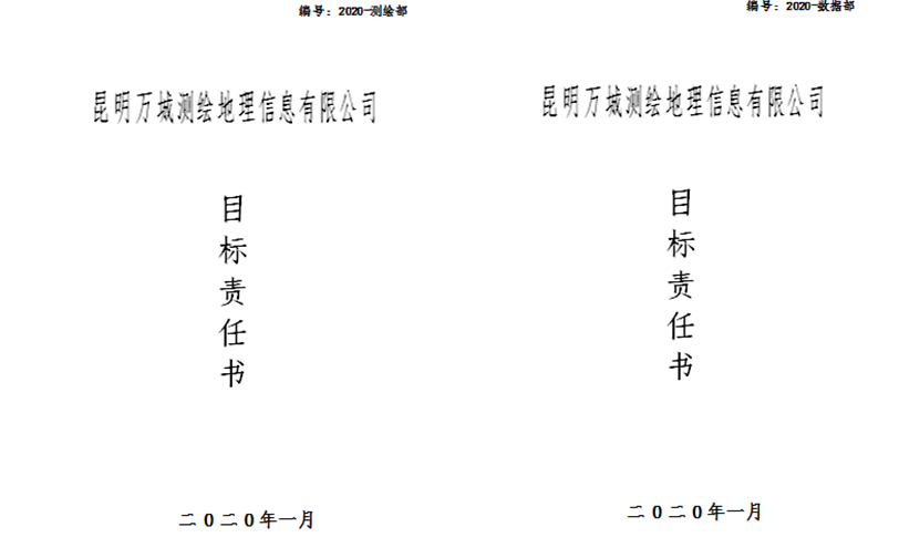 昆明万城测绘地理信息有限公司2019年度工作 总结及2020年工作计划会