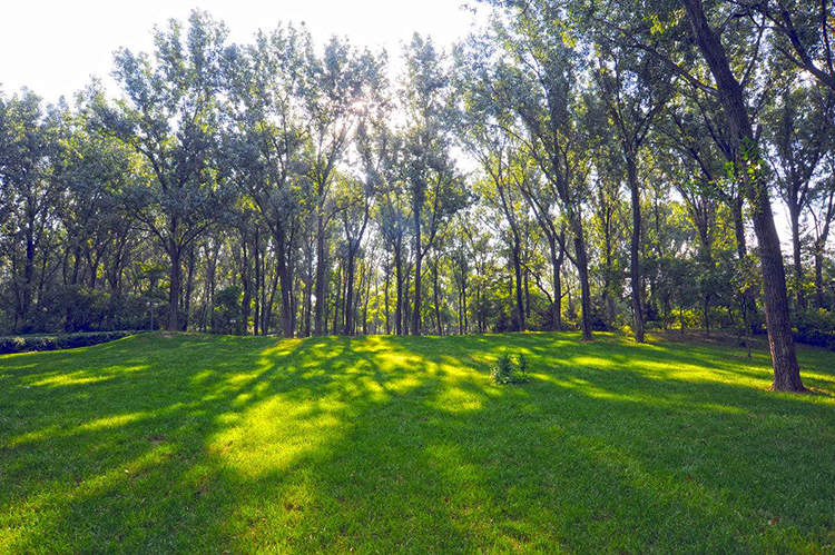 云南省自然资源厅 云南省林业和草原局 关于进一步做好林权类不动产 登记颁证工作的通知