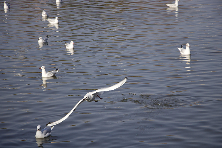 云南公布129个县(市、区)疫情风险等级！昆明主城四区等15地被列为高风险！