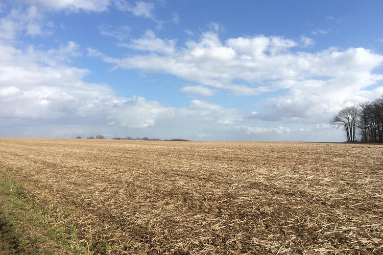 云南省自然资源厅关于规划用地“多审合一、多证合一”改革工作的实施意见