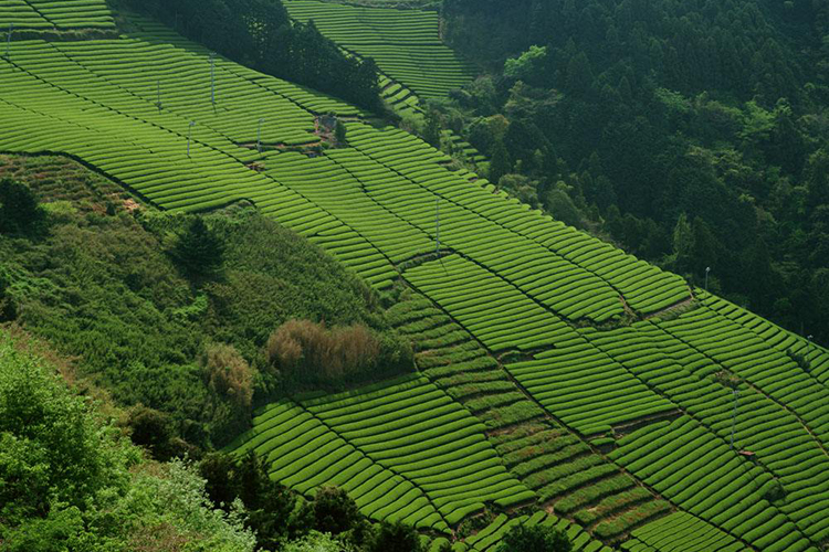云南省测绘条例5月1日起施行