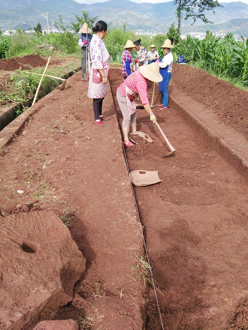 大理州巍山县文物保护范围、建设地带划定项目