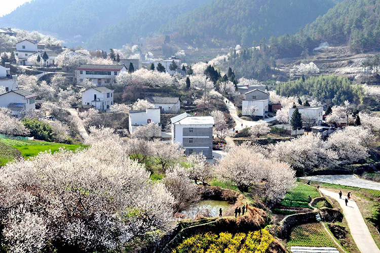 自然资源部关于加快宅基地和集体建设用地使用权确权登记工作的通知