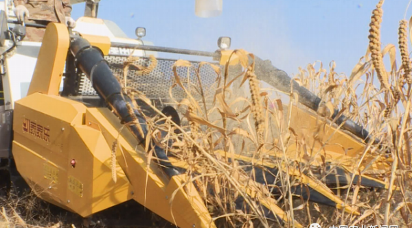 「中国农业新闻网」2021年2月4日农业头