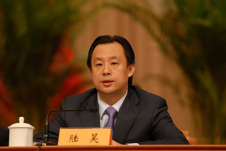 自然资源部部长陆昊作关于2020年度国有自然资源资产管理情况的专项报告