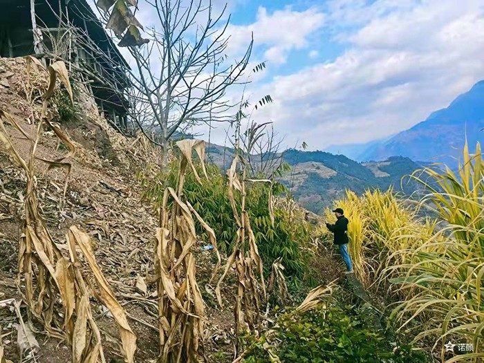 泸水市2021年度国土变更调查工作