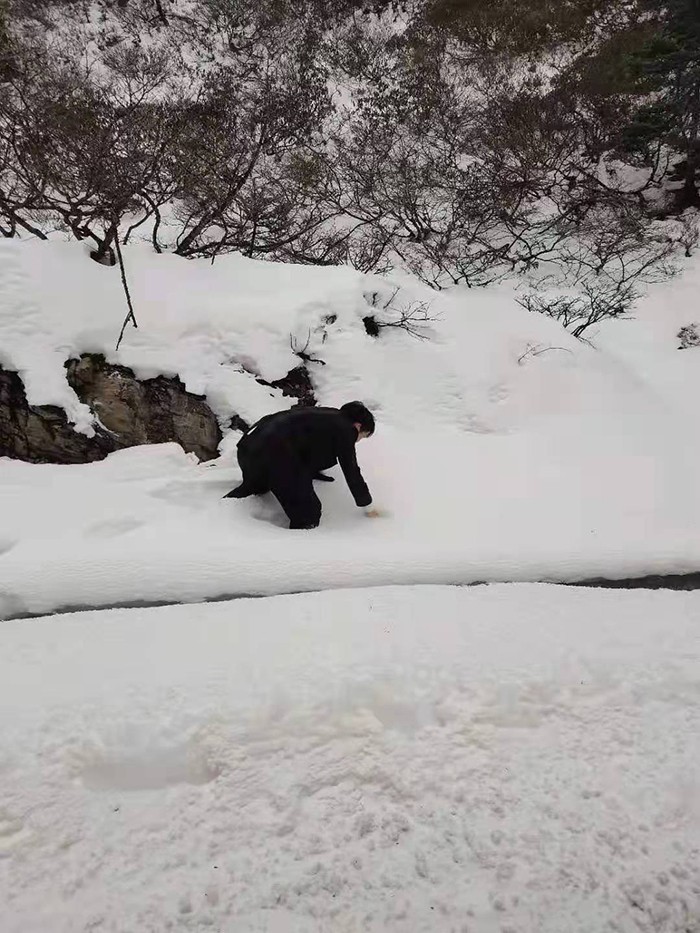 贡山县2021年年度土地变更调查