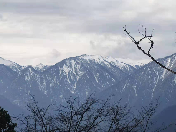 贡山县2021年年度土地变更调查