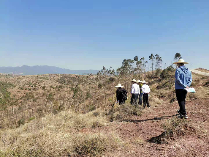 永仁观音岩光伏电站用地报批服务