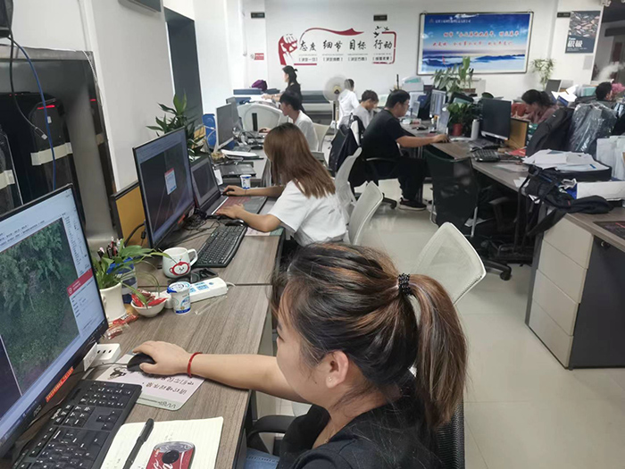 云南省墨江至临沧高速公路末次勘界、供地方案编制、不动产登记发证项目工作