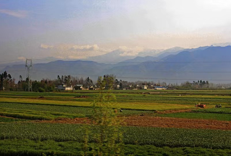 自然资源部关于积极做好用地用海要素保障的通知