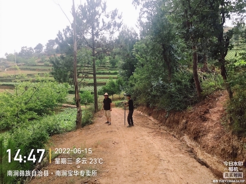 云南省大理州2023年高标准农田建设项目案列分享