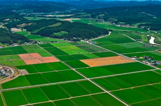 中央一号文件出炉，2023年农村宅基地、耕地将迎来五大变化！