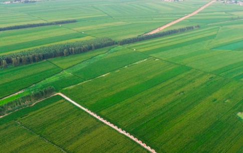 中央一号文件出炉，2023年农村宅基地、耕地将迎来五大变化！