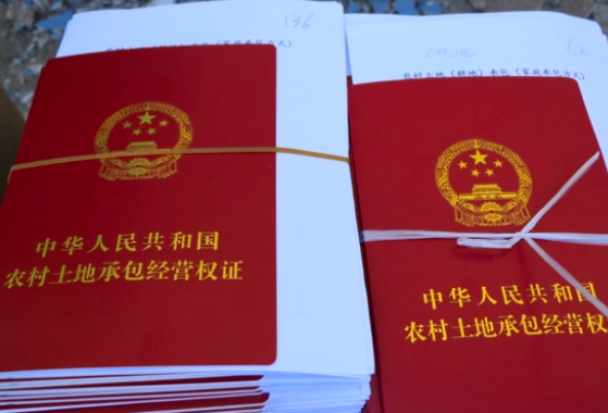 中央一号文件出炉，2023年农村宅基地、耕地将迎来五大变化！