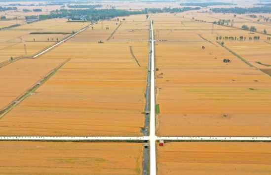 中央一号文件出炉，2023年农村宅基地、耕地将迎来五大变化！