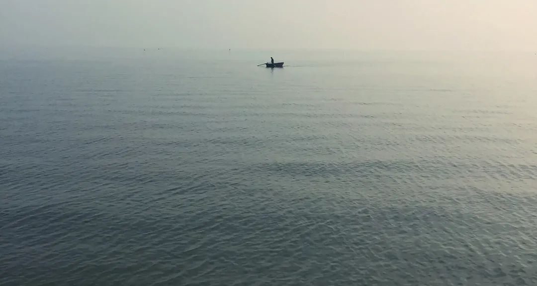 总公办关于复合型光伏报批项目政策解读的培训