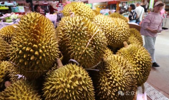 省委书记王宁：主动服务和融入高质量共建“一带一路”，云南开放之路越走越宽