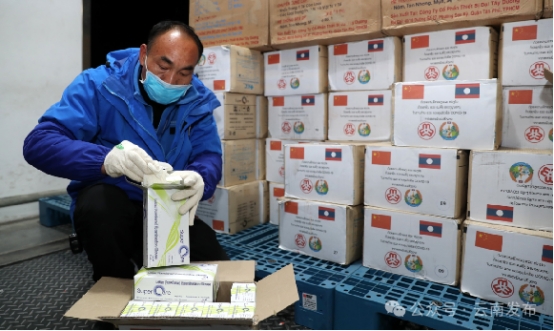 省委书记王宁：主动服务和融入高质量共建“一带一路”，云南开放之路越走越宽